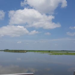 Blue Heron Boat Tours & Canoe Rental - Horicon Marsh part V