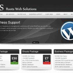 Roots Web Solutions