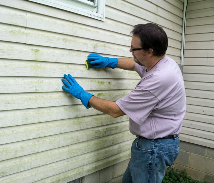 Slide of ProClean Pressure Washing