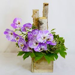 Your Enchanted Florist
