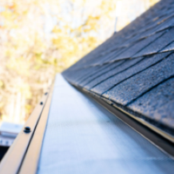 The Brothers That Just Do Gutters - One Gutter Guard