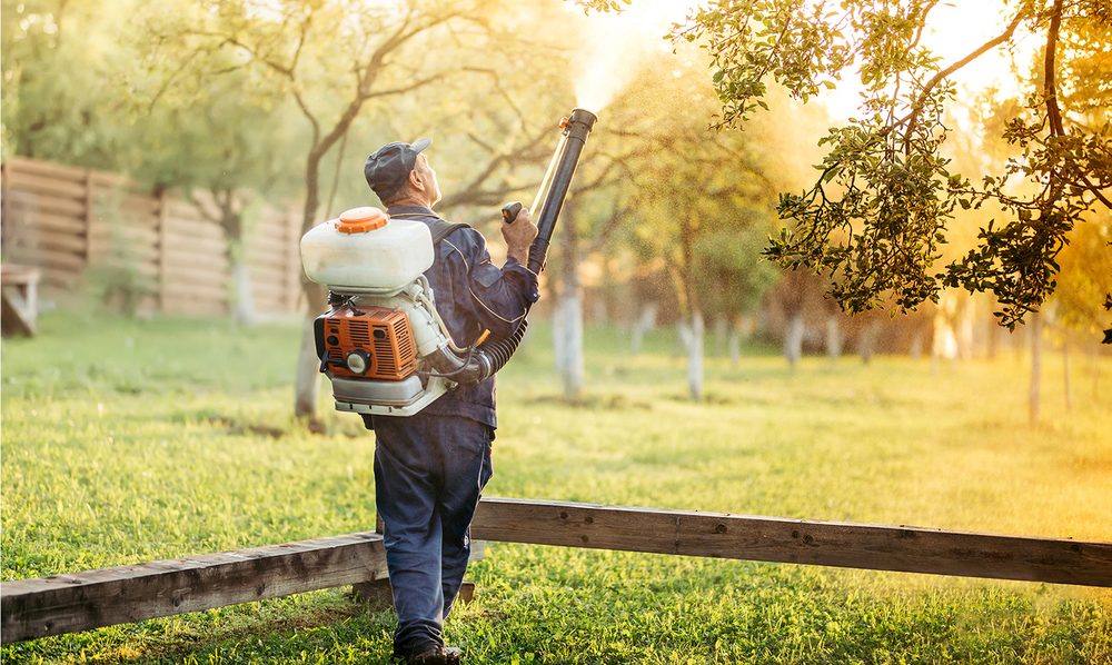 Luxury Lawn and Mosquito - tree service in Murfreesboro, TN