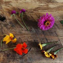 The Naked Tart, LLC - edible flowers