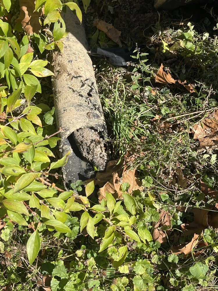 Slide of Ace of Drains and More