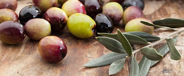 Ojai Olive Oil by null