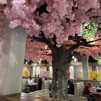 CHU SHANG HOT POT & BBQ - Updated March 2026 - 157 Photos & 57 Reviews ...