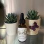 Photo of NatSkinCare