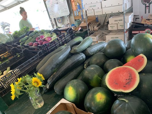 Coit Road Farmers Market by null