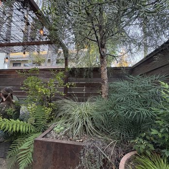 Betty - Patio area - Wine Bars Near Me - Sacramento, California