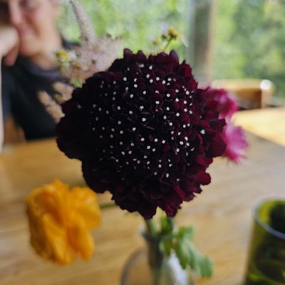 Grand Lake Lodge by null