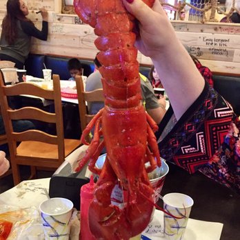 Angry Crab Shack - 2.5 pounds of lobster! This sucker was huge! - Seafood Near Me - Mesa, Arizona