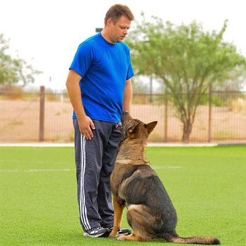 Quality K-9 - Pet Training Near Me Quality K-9 - Pet Training Near Me