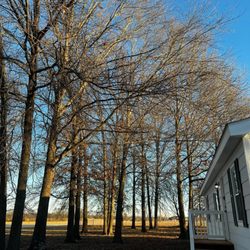 C&R Lawn Care & Tree Service