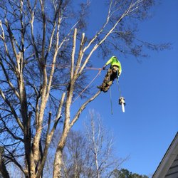 Out On A Limb Tree Service