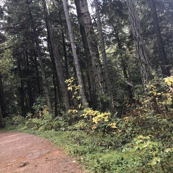 Stanley Park - Parks Near Me - Vancouver, British Columbia Stanley Park - Parks Near Me - Vancouver, British Columbia