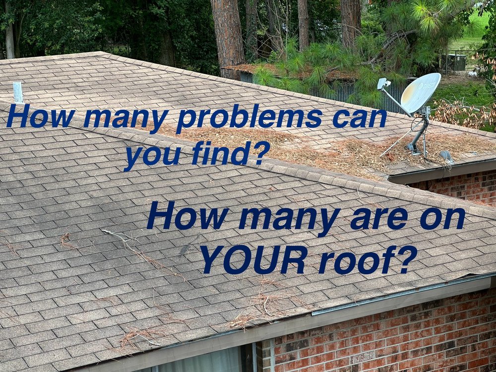 Slide of Roofelangelo