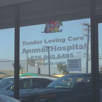 TENDER LOVING CARE ANIMAL HOSPITAL - Updated January 2025 - 91 