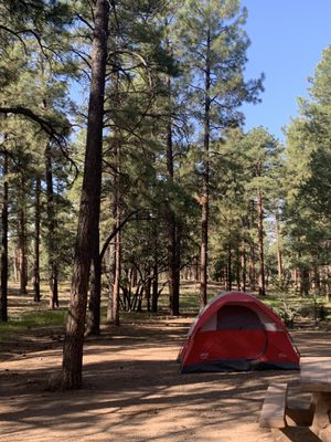 Mather Campground by null