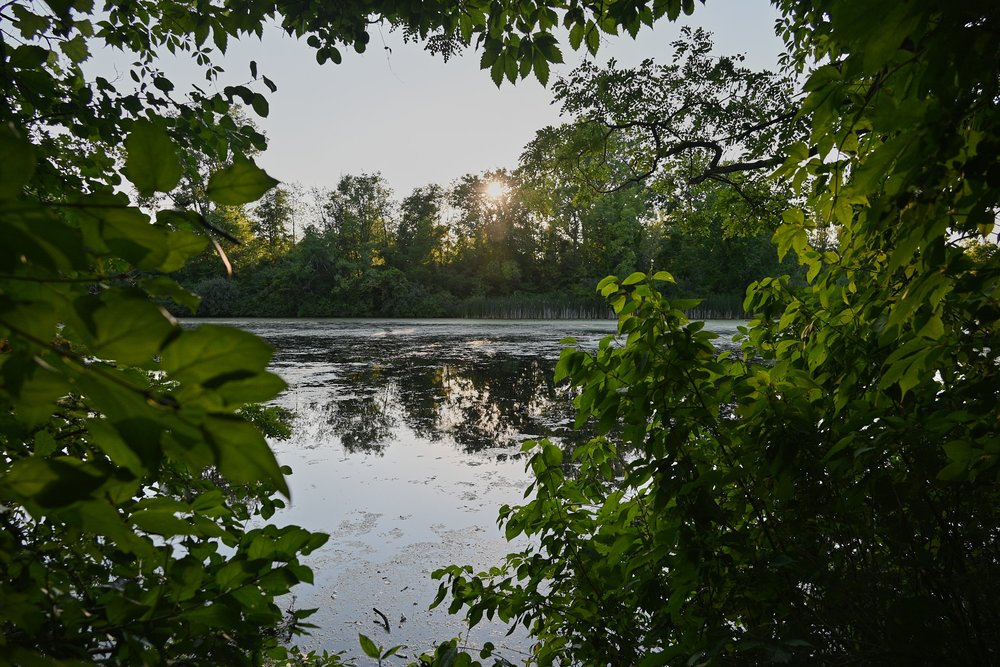 HEWEN’S CREEK PARK Updated September 2024 25 Photos 6515 E Bemis