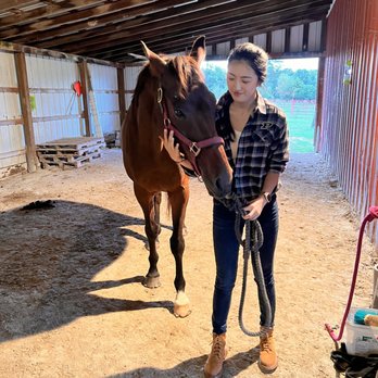 Unity Riding Academy - Horseback Riding Near Me - Attica, Indiana Unity Riding Academy - Horseback Riding Near Me - Attica, Indiana