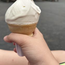 Springville Dairy