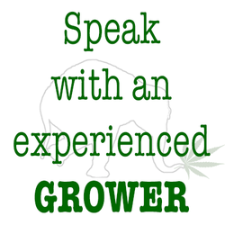 Balance Medical Marijuana Clones - Speak with an experienced grower