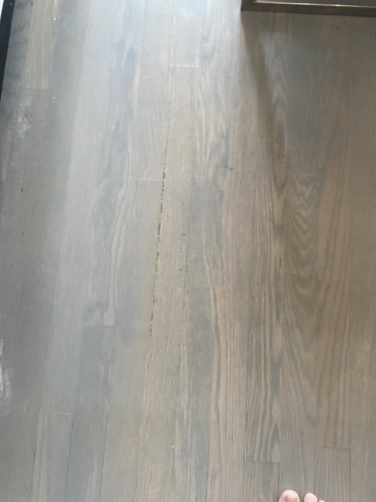 VELLE’S CARPET CARE Updated April 2024 39 Photos & 39 Reviews