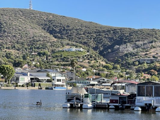 Amalfi Marina Bar (Dockside) by null