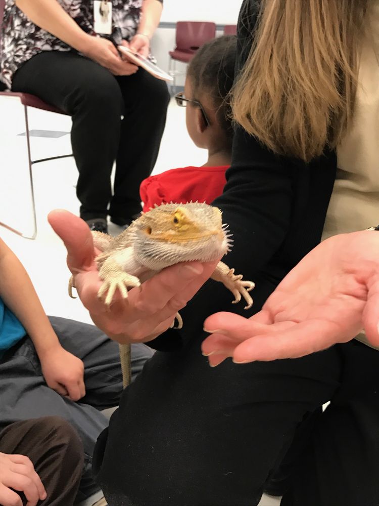 ST. RAPHAEL PRESCHOOL 76 Photos 5801 Falls Of The Neuse Rd, Raleigh