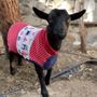 Photo of Party Goats LA
