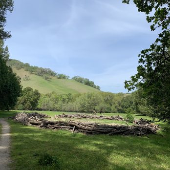 Briones Regional Park - Parks Near Me - Martinez, California Briones Regional Park - Parks Near Me - Martinez, California