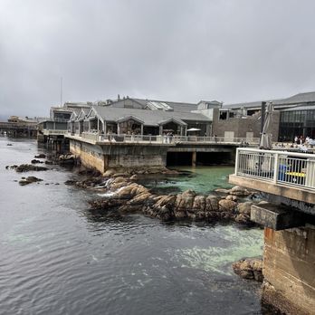 Monterey Bay Aquarium - Lagoon - Aquariums Near Me - Monterey, California
