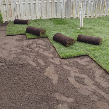 Push To Shove - two rolls of turf laid out in a backyard - Snow Removal Near Me Push To Shove - two rolls of turf laid out in a backyard - Snow Removal Near Me