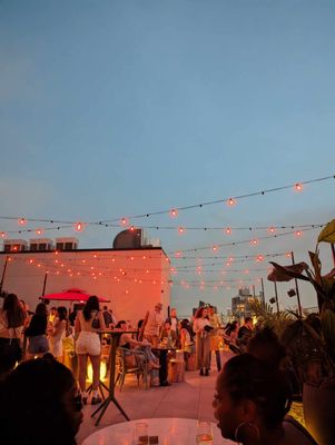 LilliStar by null LilliStar by null