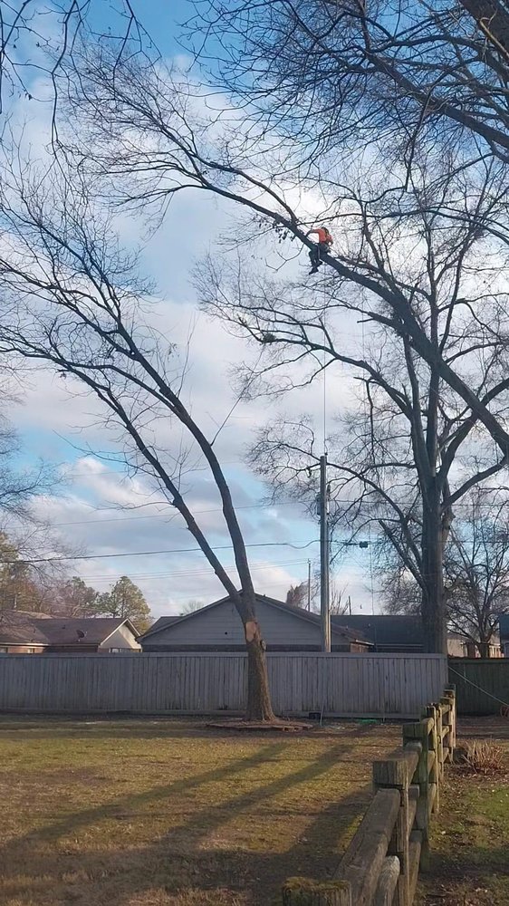 TURF NURSE TREE & OUTDOOR SERVICES Updated April 2024 Request a Quote 908 Roselawn Rd