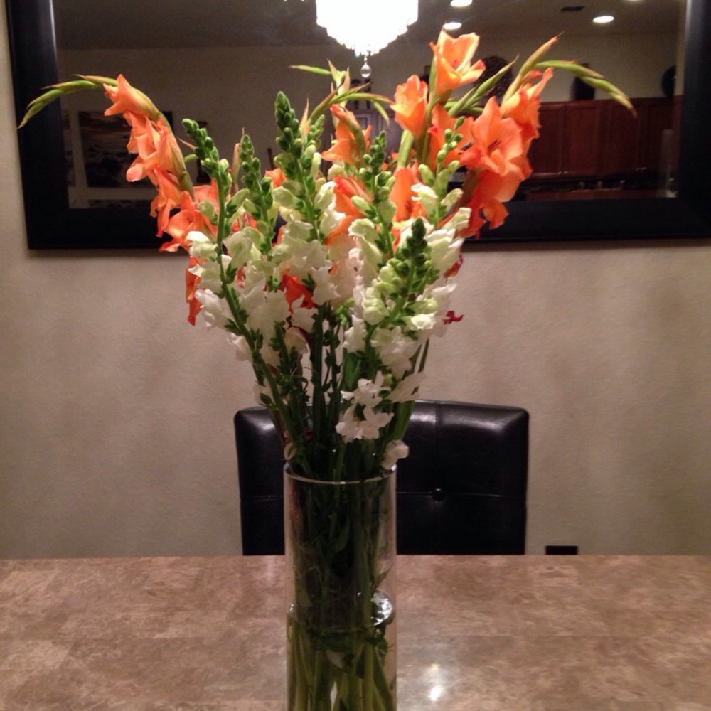Trader Joe's - My favorite TJ bouquet of flowers I put together so far - Grocery Near Me - Miami, Florida Trader Joe's - My favorite TJ bouquet of flowers I put together so far - Grocery Near Me - Miami, Florida