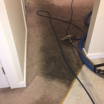 Carpet Care HP - Home Cleaning Near Me