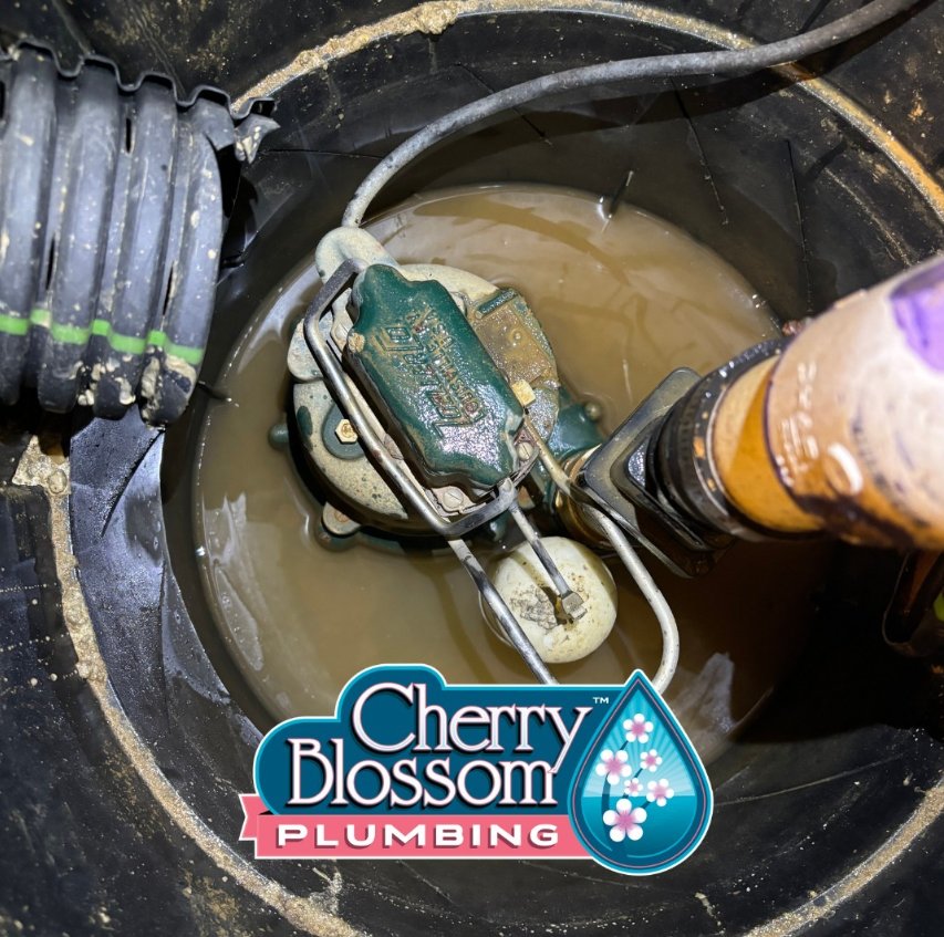 Slide of Cherry Blossom Plumbing