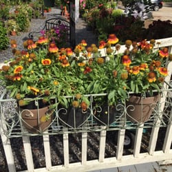 D's Garden Center