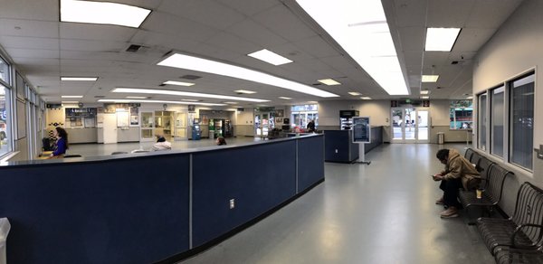 Greyhound Shop by null