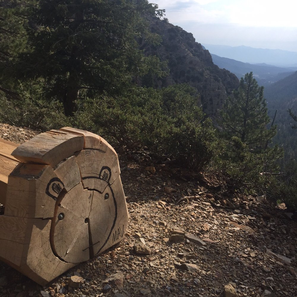 Cathedral Rock - I saw a bear! - Hiking Near Me - Mt Charleston, Nevada