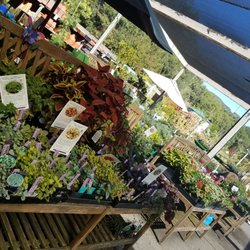 Sloat Garden Center - A little shopping