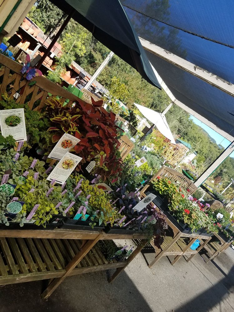 SLOAT GARDEN CENTER 25 Reviews Nurseries & Gardening 2000 Novato