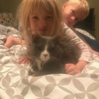 Meg's Loving Pet Care - The kids giving Tia lots of love - Dog Walkers Near Me - Bristow, Virginia Meg's Loving Pet Care - The kids giving Tia lots of love - Dog Walkers Near Me - Bristow, Virginia