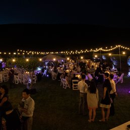 we used Khader's uplights on all of our olive trees for our outdoor reception. You can choose which color you want (we chose purple). we used Khader's uplights on all of our olive trees for our outdoor reception. You can choose which color you want (we chose purple).