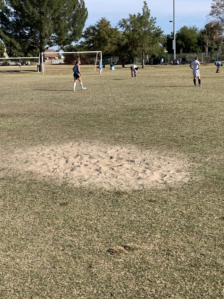 BENEDICT SPORTS COMPLEX 490 West Guadalupe Rd, Tempe, Arizona Yelp