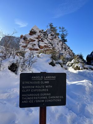 Angels Landing by null