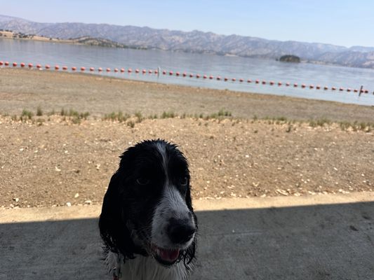 Lake Berryessa by null