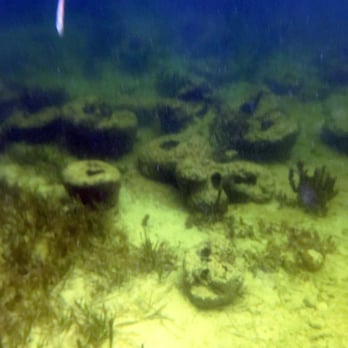 Danger Charters - snorkeling~ sea sponge - Rafting/Kayaking Near Me - Key West, Florida Danger Charters - snorkeling~ sea sponge - Rafting/Kayaking Near Me - Key West, Florida