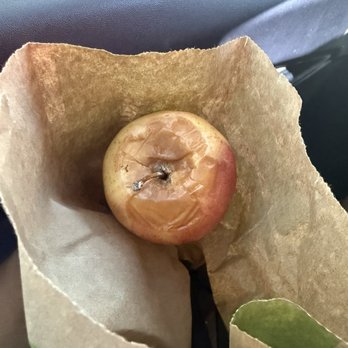 Panera Bread - Apple - Salad Near Me - Murrieta, California